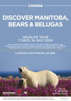 Discover Manitoba, Bears & Belugas