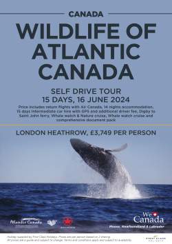 Wildlife of Atlantic Canada