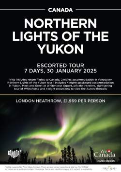 Northern Lights of the Yukon 