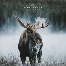 Moose 