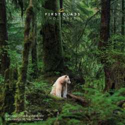 Spirit Bear 