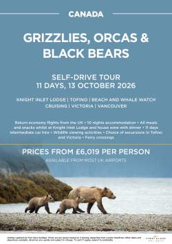 Grizzlies, Orcas & Black Bears October 2026