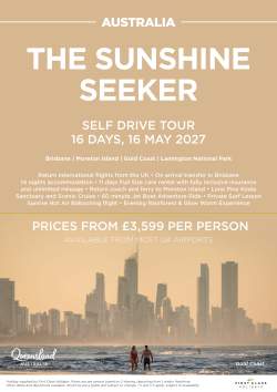 The Sunshine Seeker