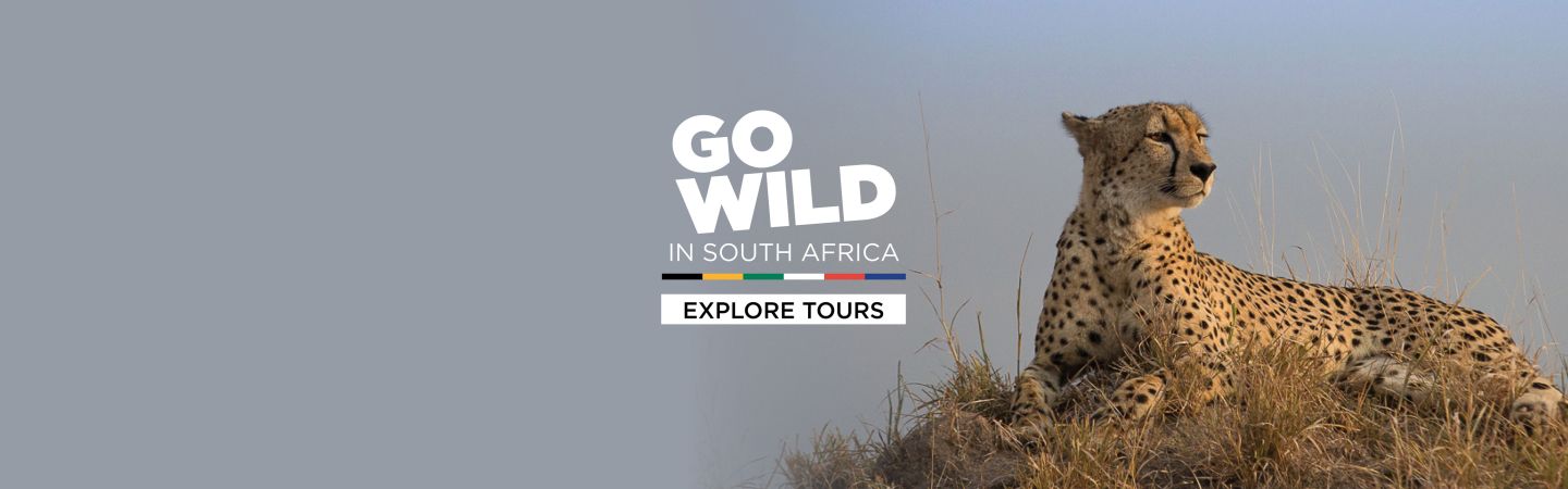 Go Wild in South Africa