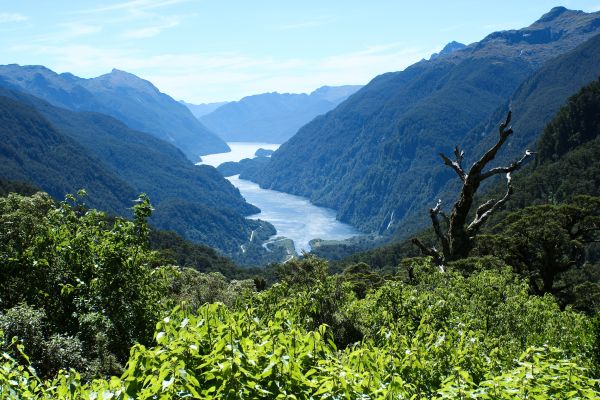 Cruise through the beauty of the doubtful sound
