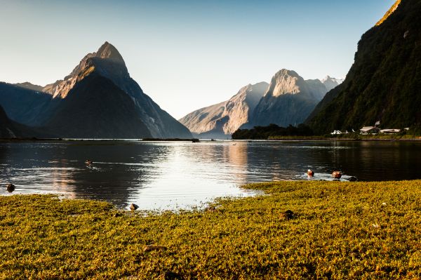 Milford Sound