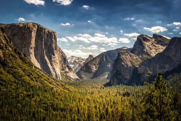 Yosemite National Park 