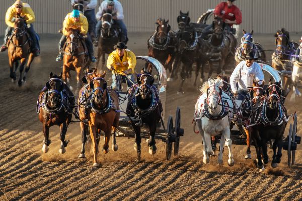 Chuck Wagons at Calgary Stampede