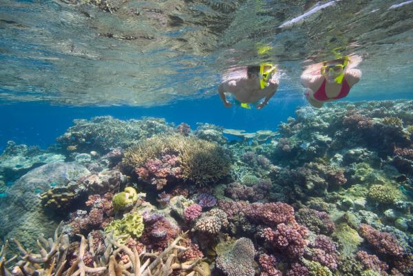 Great_Barrier_Reef