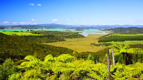 Paihia New Zealand