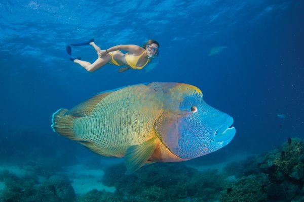 Great Barrier Reef