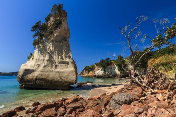 Cathedral Cove New Zealand