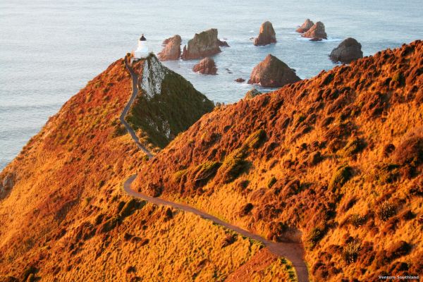 Nugget Point