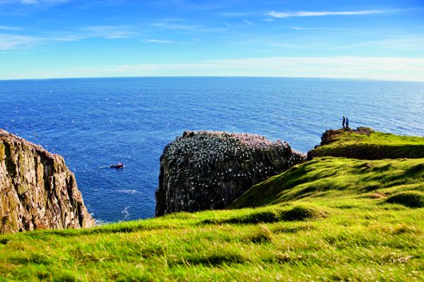 Cape St Mary's Ecological Reserve