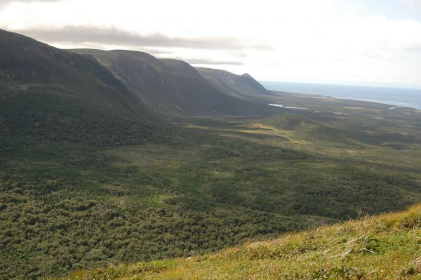 Codroy Valley