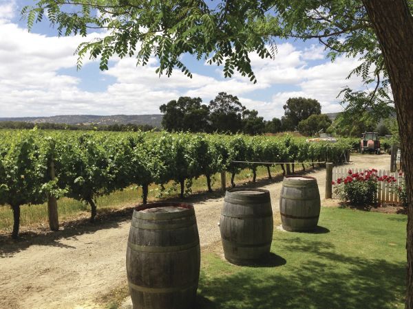 Cellar Doors Perth