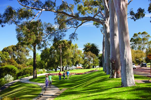 Kings Park Perth