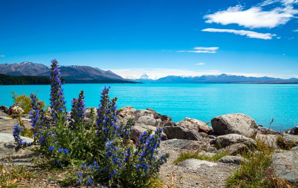 Lake Pukaki