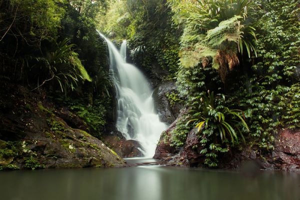 Lamington National Park