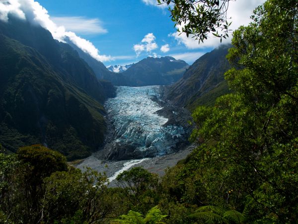 Fox Glacier 