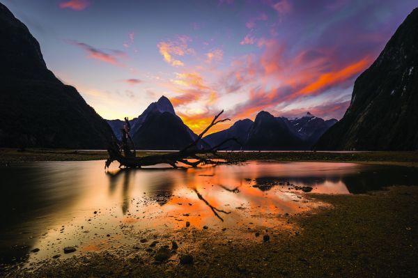 Milford Sound 