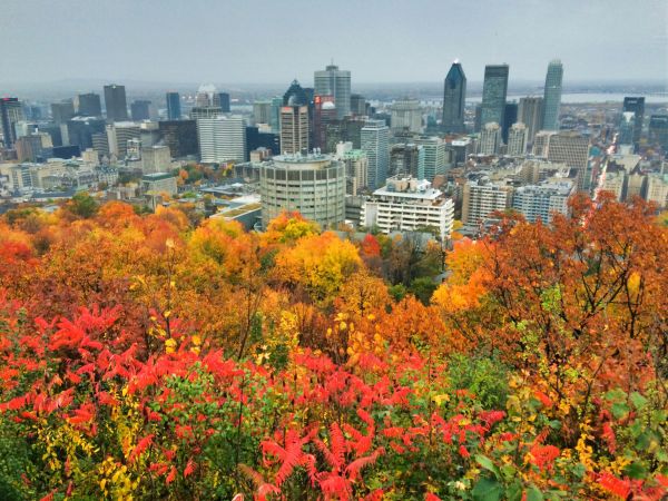 Montreal