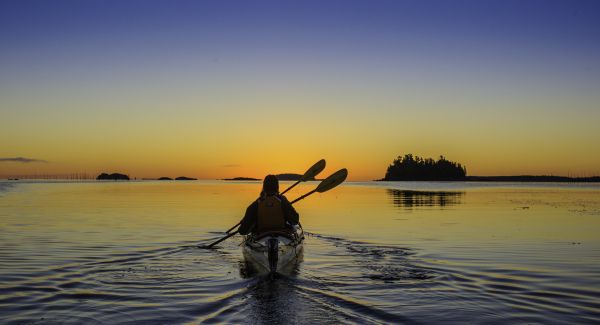 Kayaking in Bay of Fundy 