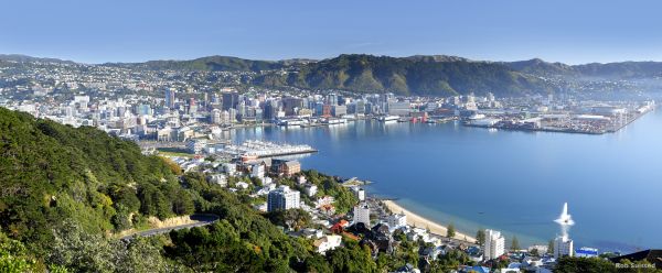 Mount Victoria Wellington - Credit Rob Suisted