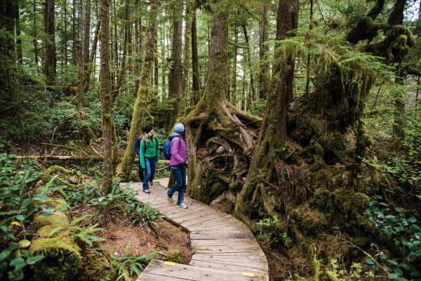 Tofino 