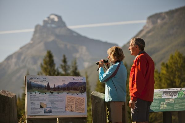 Sightseeing Bow Valley