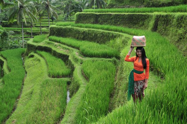Bali