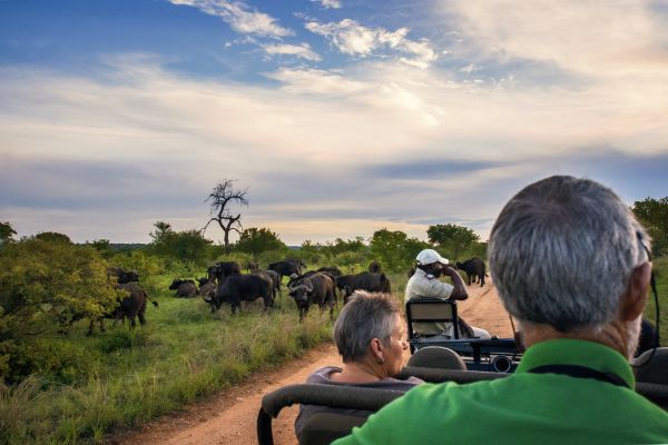 Kruger National Park