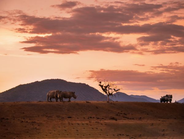 Kruger National Park