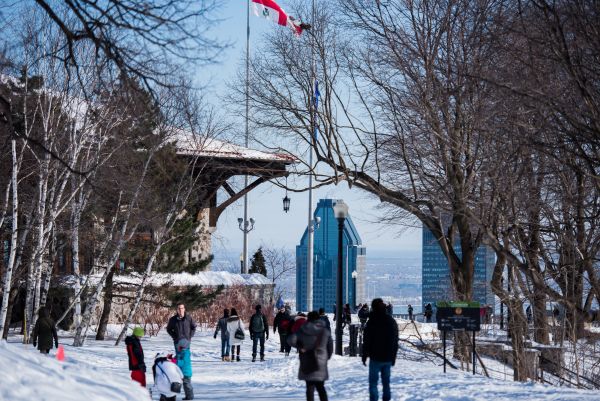 Montreal Winter