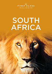 South Africa brochure