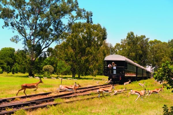 south africa train tours