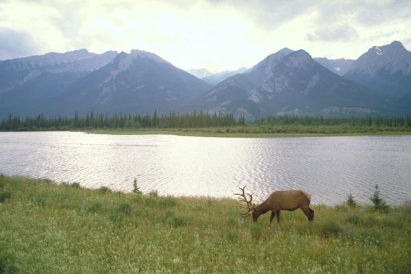 Alberta