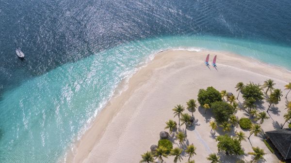 Palm Island The Grenadines Caribbean