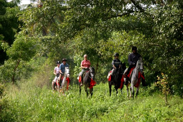 Kandalama Sri Lanka