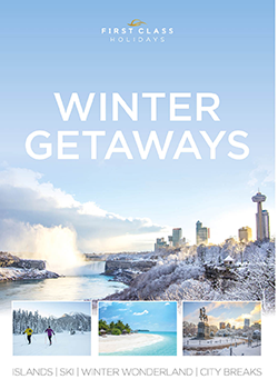 Winter Brochure