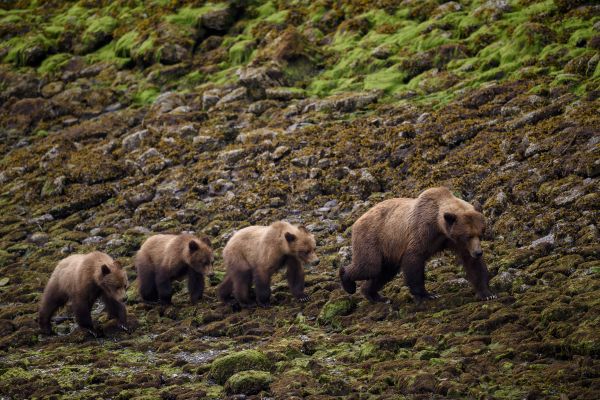 British Columbia 