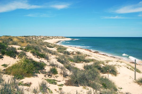 Ningaloo