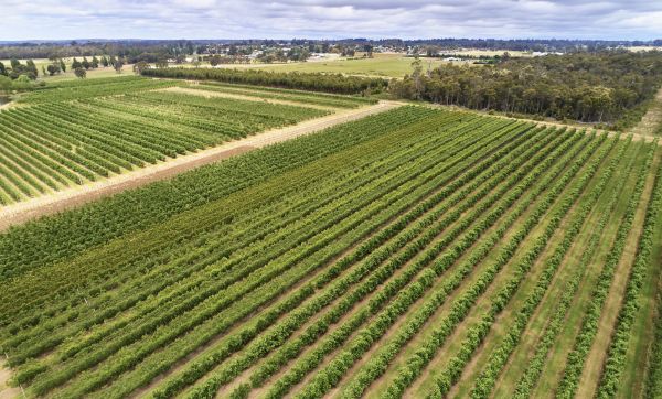 Margaret River