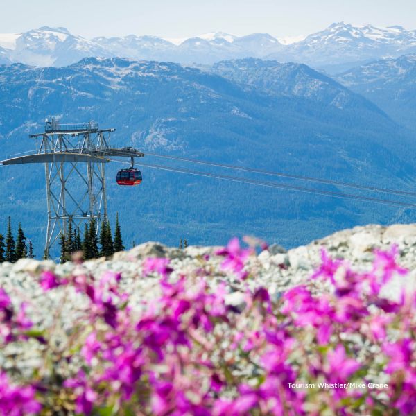 Peak 2 Peak Gondola, Whistler Mike Crane