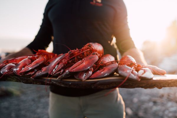 Lobster-Capital-New-Brunswick