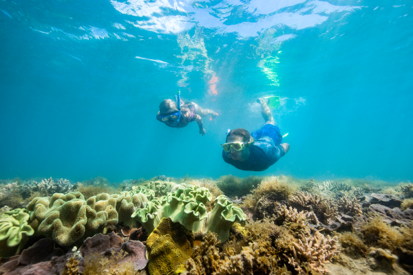 Great Barrier Reef 