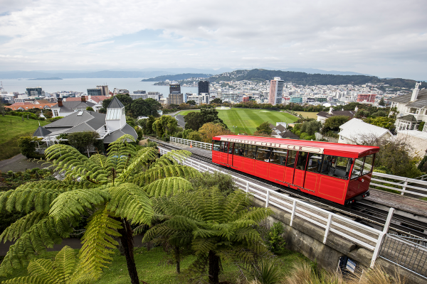wellington