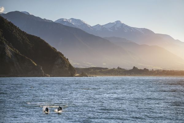 Kaikoura