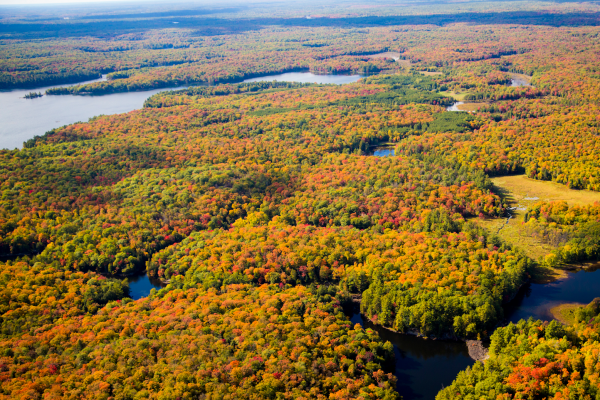 Destination Ontario, Muskoka