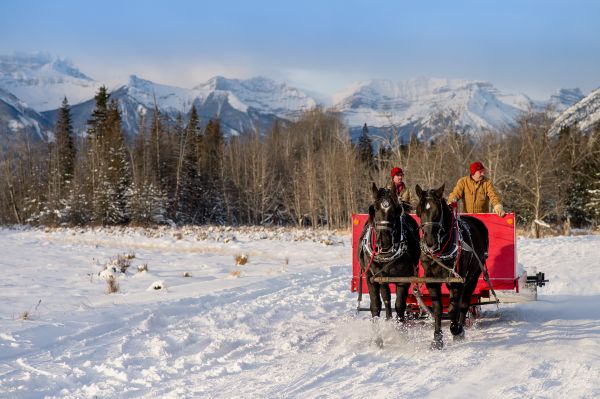 Event_BanffChristmasMarket_Winter_OrangeGirl_005